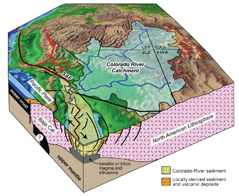 Figure 4. Diagram illustrating a conceptual model for lithospheric rupture and sedimentation in the Salton Trough and northern Gulf of California (Dorsey, 2010). Deep basins are filled with synrift sediment derived from the Colorado River to form a new generation of recycled crust along the oblique-divergent plate boundary.