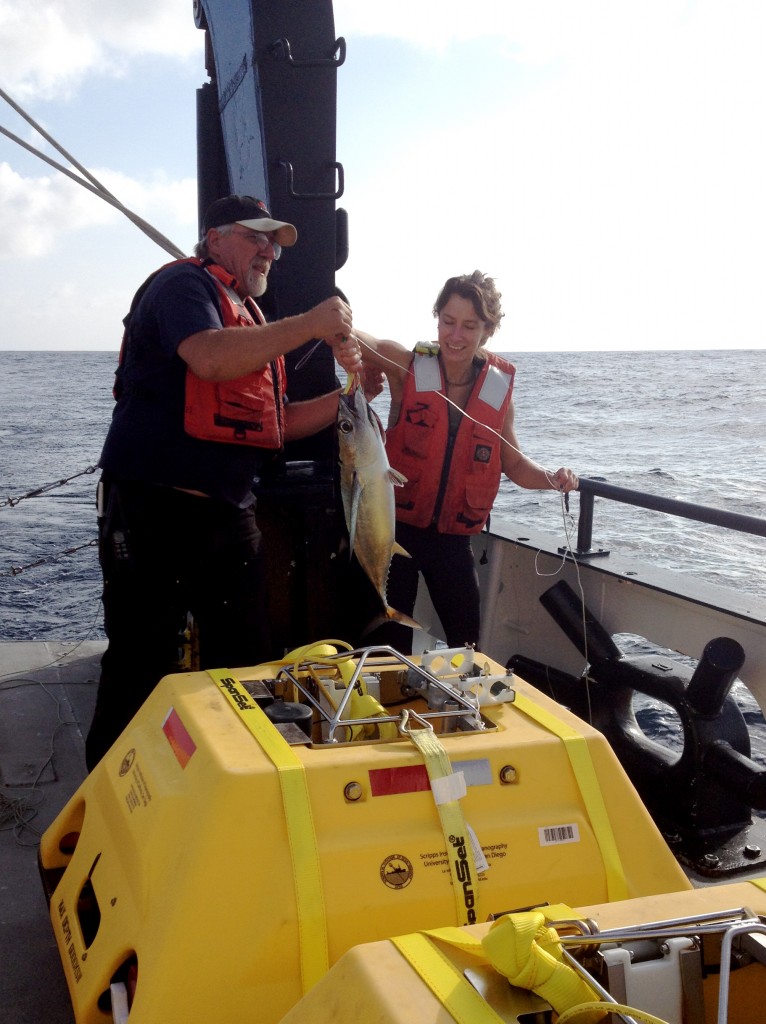 Figure 6. AB Doug Beck helps Brooklyn Gose (Undergraduate at University of Oregon) with an albacore tuna