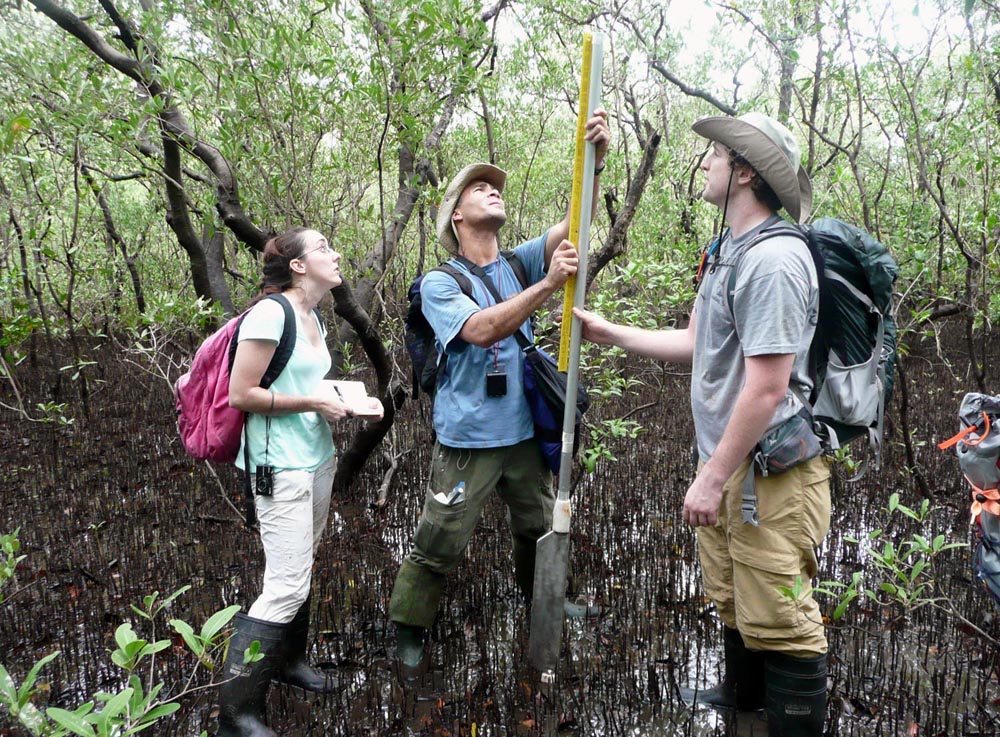 Figure 3. Virginia Tech students (from left Alyssa Durden, Keith DePew, and Craig Cunningham) during last year’s field expedition measuring paleoseismic sediment core extracted from mangrove tidal flat at Tamarindo Estuary.