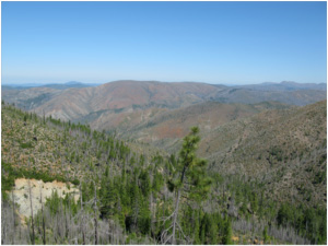 Figure 6. The Josephine Peridotite. Photo credit: Henry Dick.