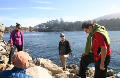 Stop1_Point_Lobos