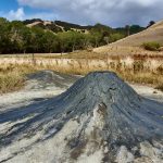 Volatile cycling through the Hikurangi forearc, New Zealand